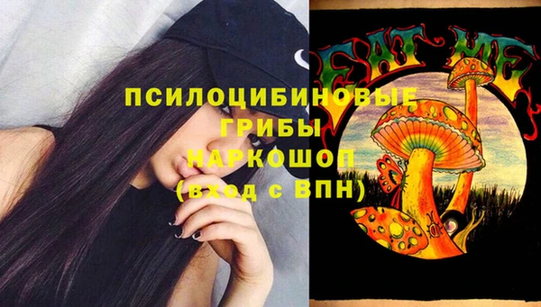 прущие грибы Балахна