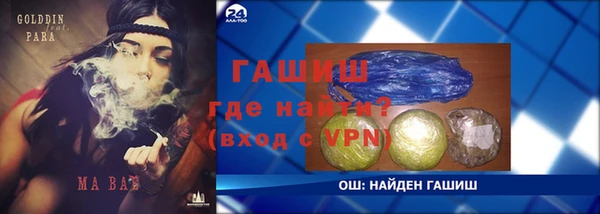прущие грибы Балахна