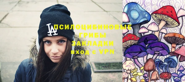 прущие грибы Балахна