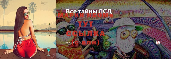 прущие грибы Балахна