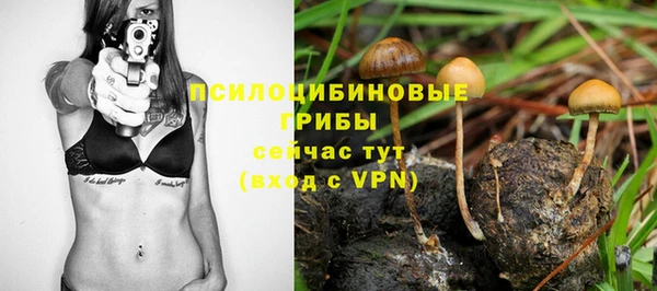 прущие грибы Балахна