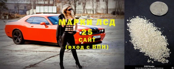 прущие грибы Балахна