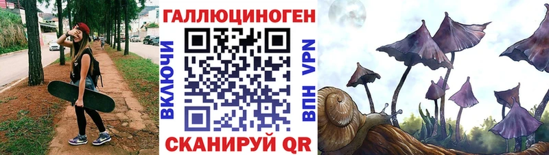 Псилоцибиновые грибы Psilocybe  Бугульма 