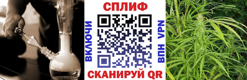 Канабис Amnesia МЕГА как зайти Бугульма